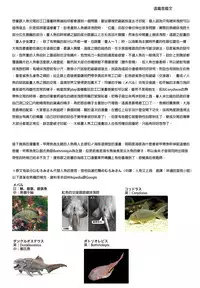 (C84) [Erdelied (Nenemaru)] mermaid mating [Chinese] [無職童貞年25個人翻譯]