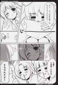 [P-POINT (Pikazo)] USAMIMI BUSTERS! (Touhou Project)