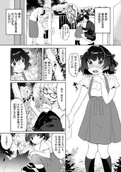 Onee-chan o Korashimetai!