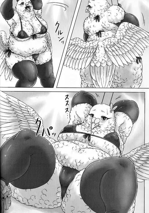 鳩奥さまのレイトショー