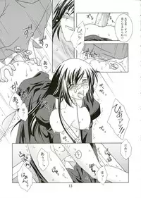 (C69) [VENOM (Mori Marimo, ZIN) mofu-mofu (Mabinogi)