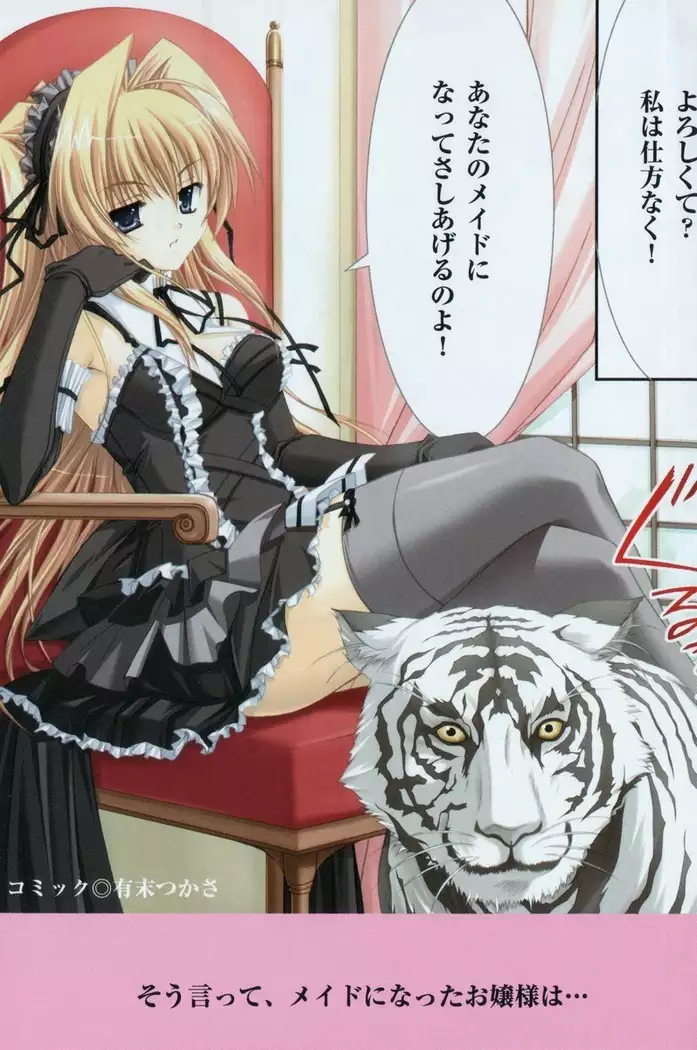 お嬢様はメイド様!？