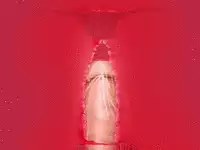 (同人誌)[サークルENZIN] 喜美嶋家での出来事4(完結)セックス結婚式編