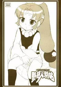 (C71) [Nozarashi (Nozarashi Satoru)] Nozarashi Ninbetsuchou (Various)