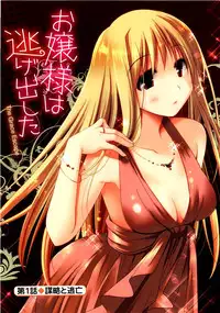 [Ponkotsu Works] Ojou-sama wa Nigedashita 1 | 大小姐逃家出走記 1 [Chinese]