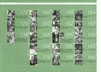 [Nishieda] Dendrobium