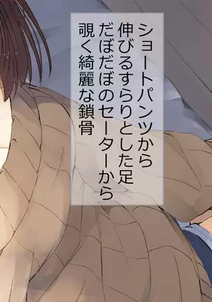 Ore no Kanojo ni wa Nekomimi ga Haeteiru