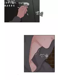 私生,爱到疯狂 完结