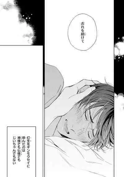 Ginmokusei no Shitateya