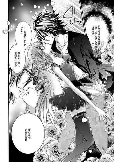 鬼畜兄弟の悶絶調教～私はいいなり奴隷～