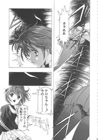 (C68) [Henreikai (Kawarajima Koh)] Sakura Ame Wide ban ~Tomoyo no Nagaiyoru~ (Card Captor Sakura)