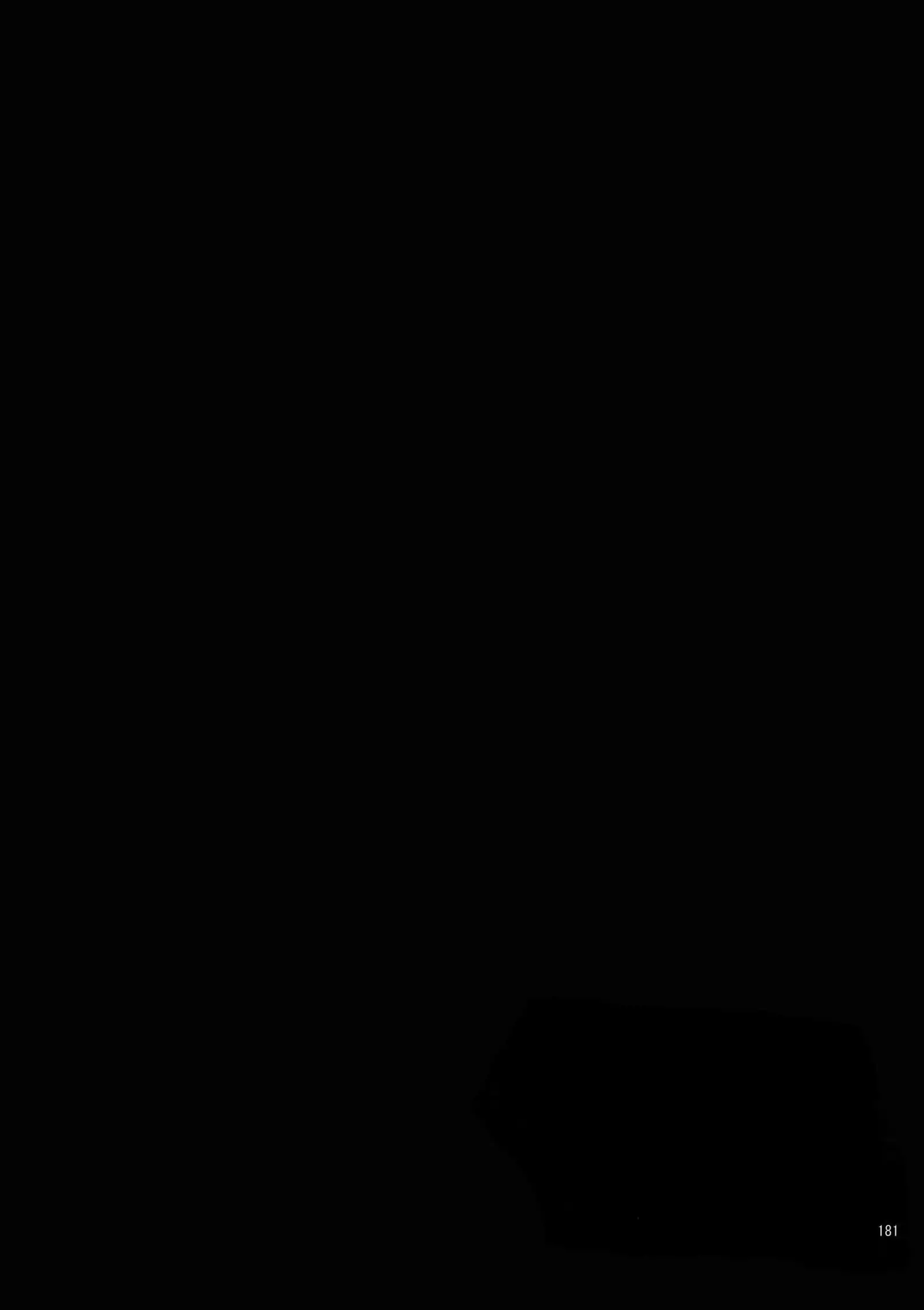 BOROZS Usagi Tora Sairoku