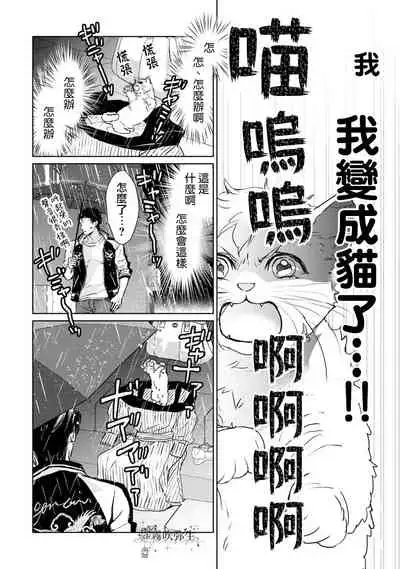 可怕的臭臉君對貓很癡迷