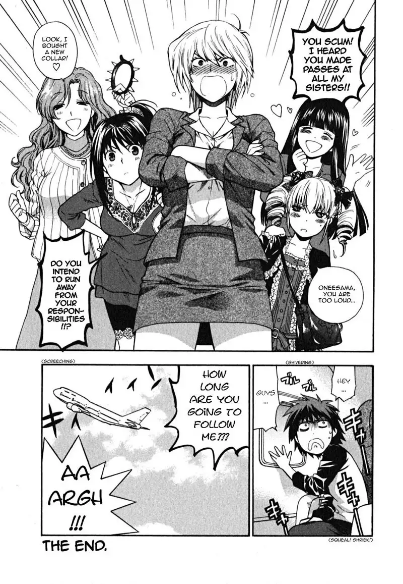 Ikemasen Ojyosama 8 - The Last Job
