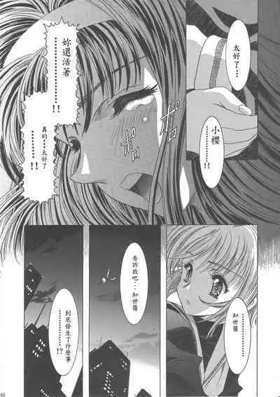 Sakura Ame Wide Ban