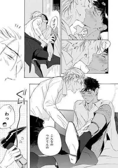 Ginmokusei no Shitateya