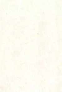 (C75) [Status Doku (Isawa Nohri)] Orange Album (Ojamajo Doremi)