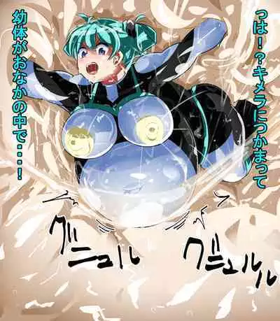 Naedoko ni Sare Haramu Heroine-tachi no Tatakai o Egaku Story