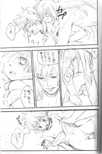 Peach Drop- Arco Iris