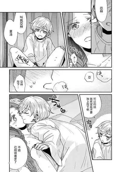 少年王と年上王妃 中文翻譯