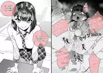 Collection（个人汉化）