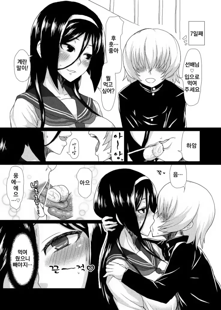 Welcome to IRISU FESTA!