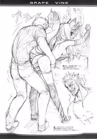 (C69) [OREZASHOW (Yatsuyaku Ashiya)] Grape Vine.