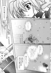 (C77) [PLUM (Kanna)] Mahou Shoujo Magical SEED Soushuuhen WORLD (Mahou Shoujo Lyrical Nanoha)