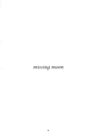 (C77) [Kazemichiya (Mamo Williams)] MISSING MOON (Touhou Project)