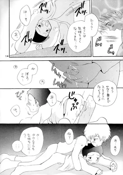 [Kuru Guru DNA (Hoshiai Hilo)] Seijitsu Na Hon (Digimon Adventure 02)