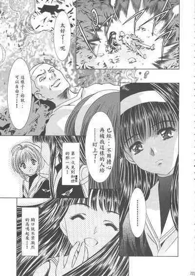 Sakura Ame Wide Ban