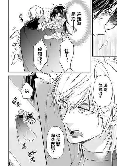 i sekai de migawari hime ni nari haō ni ubawa remashita | 在异世界成为了替身公主被霸王掳走了 1-6