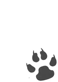 (C84) [434 Not Found (isya)] Wanko no Tadashii Shitsuke Kata | The Correct Way to Train a Puppy (Dokidoki Precure) [English] [Yuri-ism]