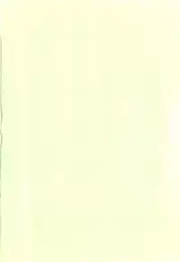 [Itou Ei] Onee-san ja Dame Kashira?