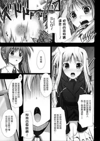 (C88) [IV VA SHIN (Mikuni Mizuki)] Home Sweet Home ~Soushuuhen~ (Mahou Shoujo Lyrical Nanoha) [Chinese] [Drz漢化]