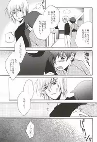 (C71) [CACHE-CACHE (Nanjou Papiko)] Ameiro Nemesis (Brave Story)