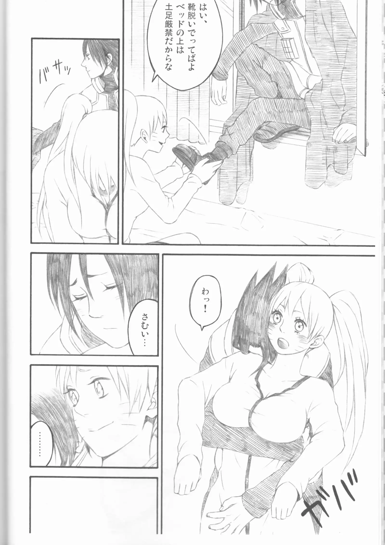 Dream passport )incomplete