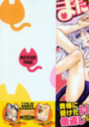 [TYPE.90] Matatabi Panic [Chinese]