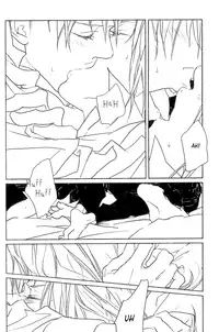 [HOUSEKI-HIME/idea (Nono Inukai, Rin Seina)] Metamorphosis (Fullmetal Alchemist) [English]