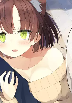 Ore no Kanojo ni wa Nekomimi ga Haeteiru