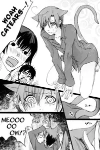 [HKR. (Kaniko)] Catnip (Axis Powers Hetalia) [English]