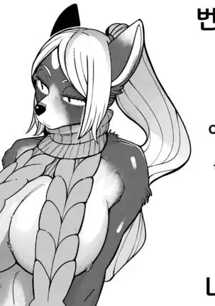 Fatima Carnival | 파티마 카니발