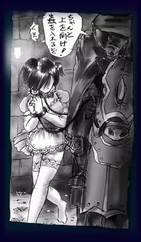 [Nyoninka Kenkyuujo] Onna Ni Sareta Yuusha Rya [Re-Ordered]