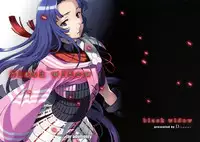 (C78) [Disaster (Cuvie)] black widow (Sengoku BASARA)