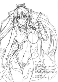 (C81) [STUDIO TRIUMPH (Mutou Keiji)] Astral Bout Ver.22 (Infinite Stratos)