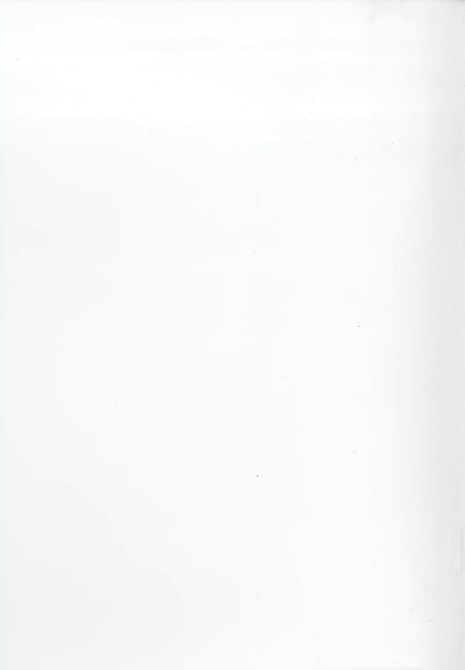 Touhou Chireidon ~Touhou Chireiden Shikijousho Soushuuhen~