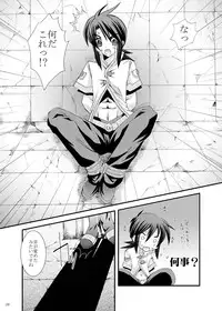 [ARC (Tamagawa Yukimaru)] impulse (Tales of the Abyss) [Digital]