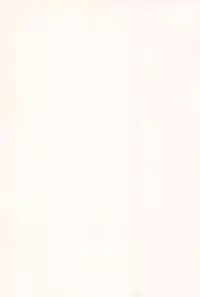 (C89) [EX35 (Kamaboko RED)] Minna ni naisho no setting! (Bakusou Kyoudai Let's and Go!!)