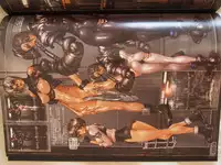 masamune shirow w tails cat 1