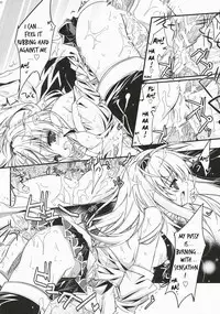 (C72) [Przm Star (Kamishiro Midorimaru, QuanXing)] Brightness of The Sword (Valkyrie Profile 2) [English] {Slayerjammer}